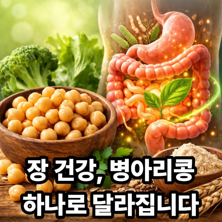   병아리콩 식이섬유가 장 건강에 좋은 이유｜변비·장내환경 한 번에 관리