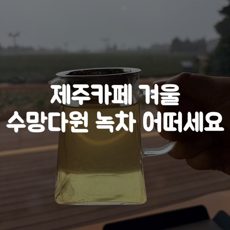  제주카페 겨울 수망다원 녹차 어떠세요