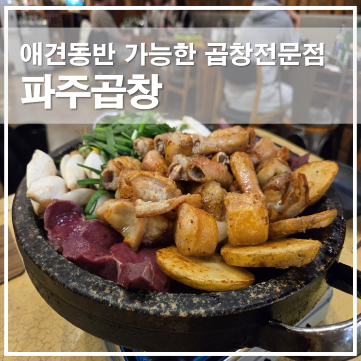  파주 야당역 맛집 파주곱창 애견동반 가능한 모듬곱창 전문점