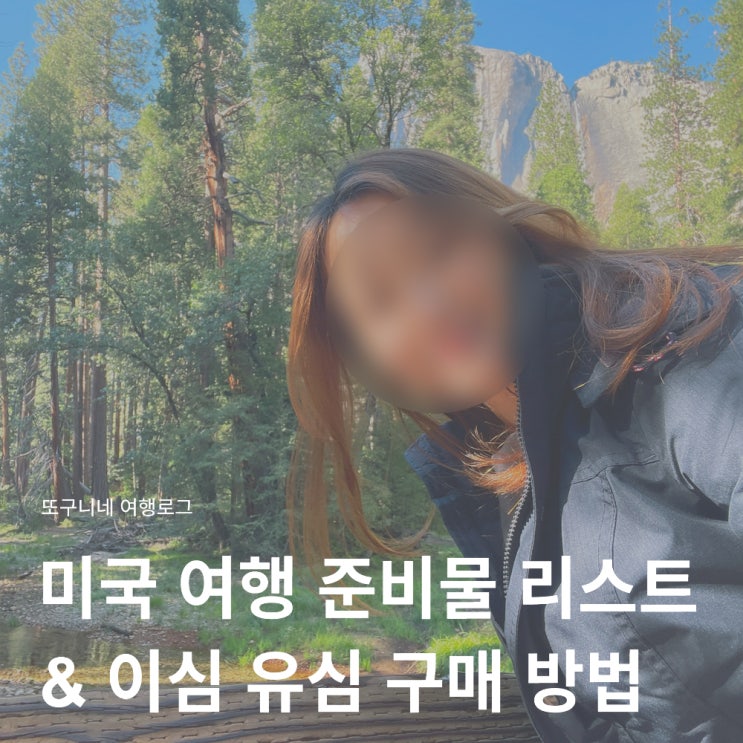  미국 여행 준비물 체크리스트 & 미국 이심 eSIM 유심 구매 방법