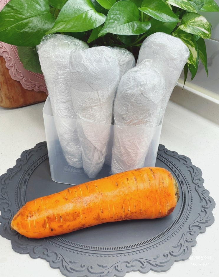 당근보관방법 흙당근보관법 이렇게 해봐요.