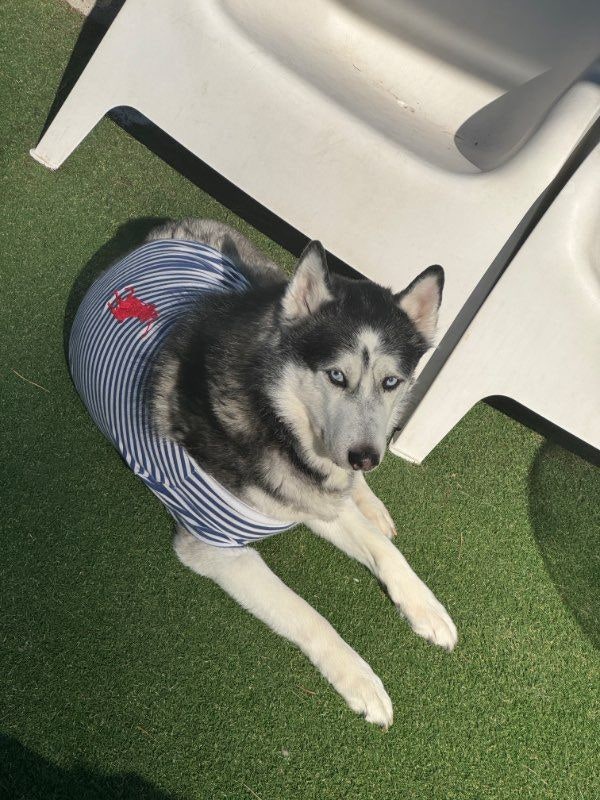 사진 6