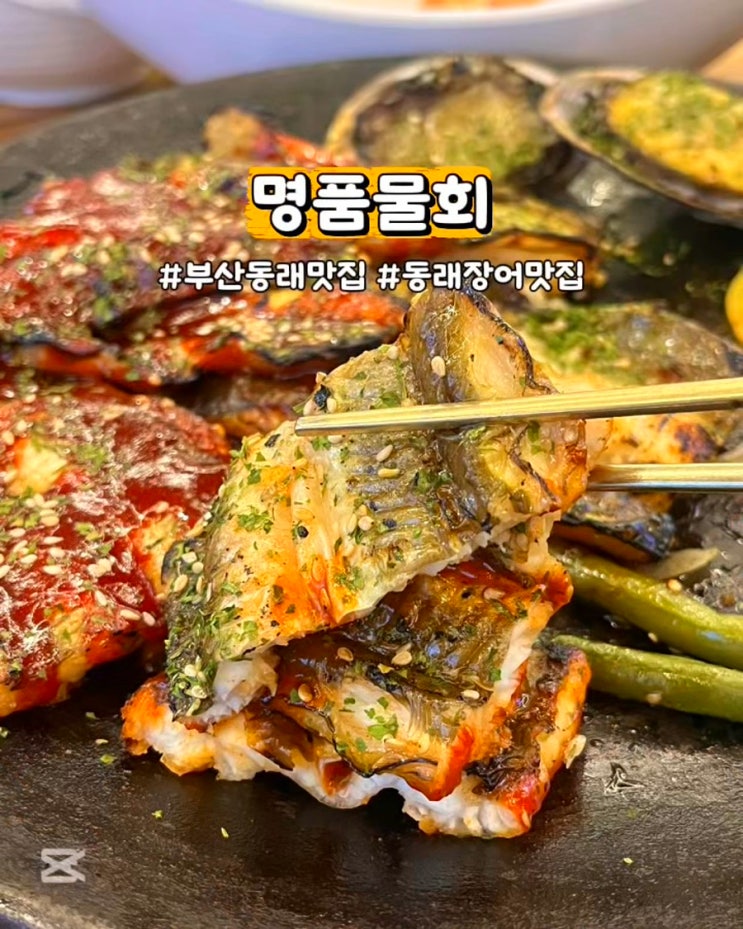  부산동래맛집 명품물회 동래점 숯불장어구이 수안역 가족외식 밥집
