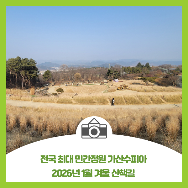  전국 최대 민간정원 가산수피아 2026년 1월 겨울 산책길