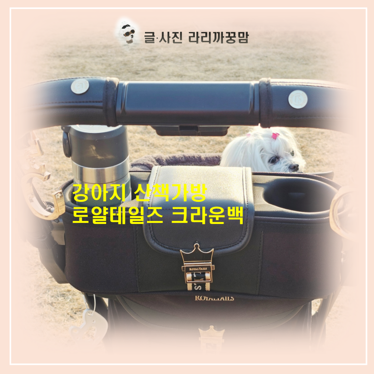  강아지 산책가방 유목민 정착템, 로얄테일즈 크라운백 하나면 충분해요