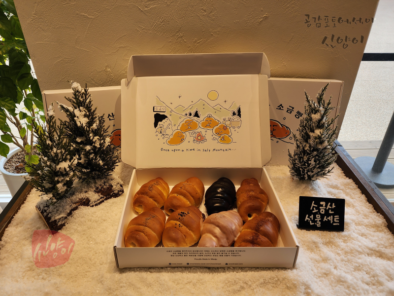 사진 5