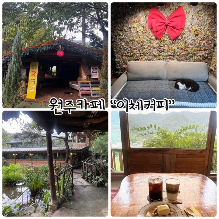  원주카페 "이체커피" 맛있는 디저트와 숲속 풍경의 조화