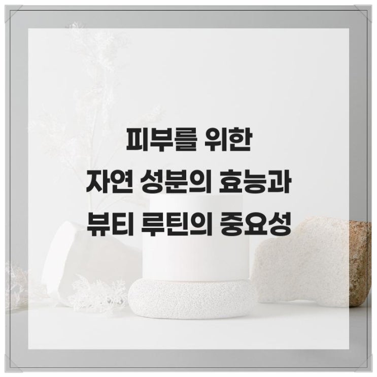  피부를 위한 자연 성분의 효능과 뷰티 루틴의 중요성