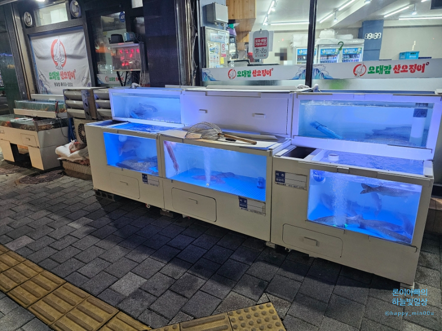 오대감 산오징어 사진 4