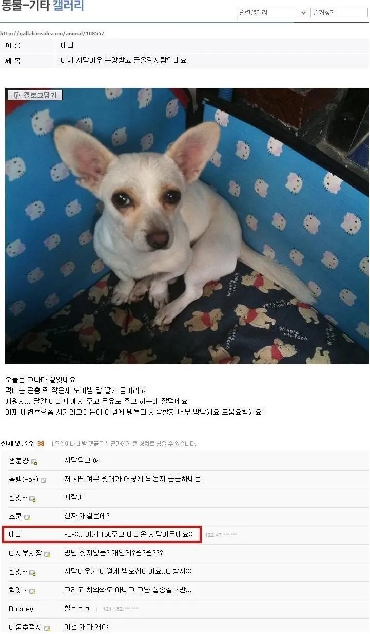  150만원에 분양받은 사막여우.jpg