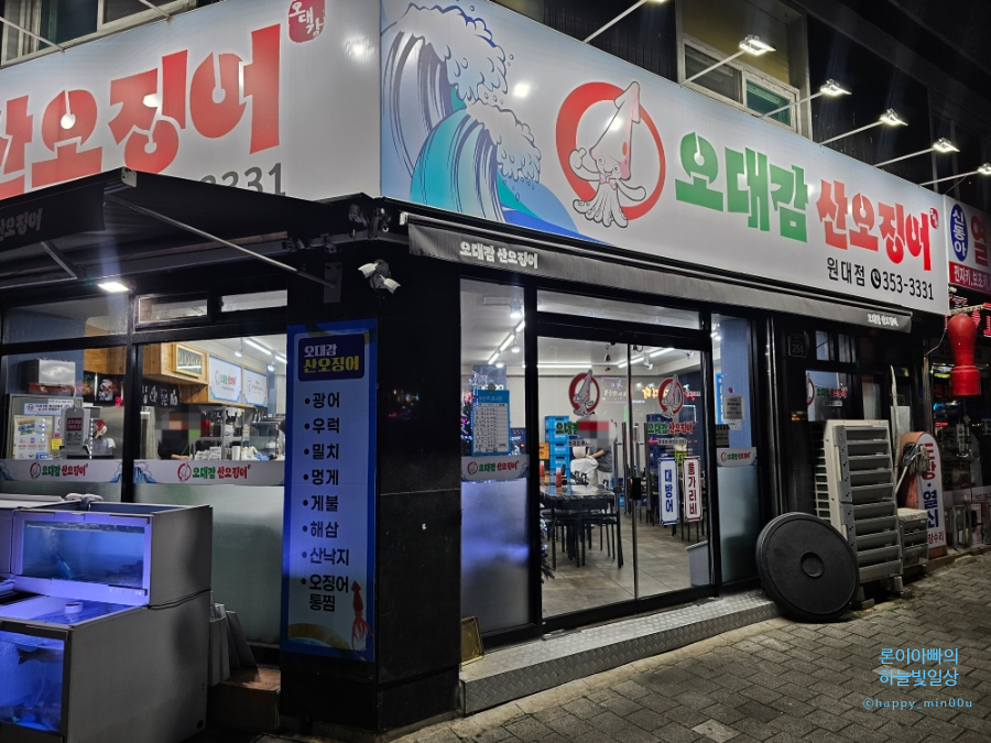 오대감 산오징어 사진 2