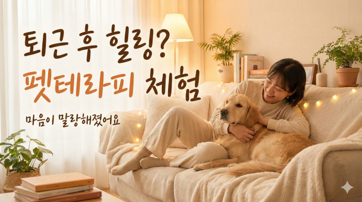  퇴근 후 강아지랑 힐링타임? 펫테라피 체험으로 마음이 말랑해졌어요 