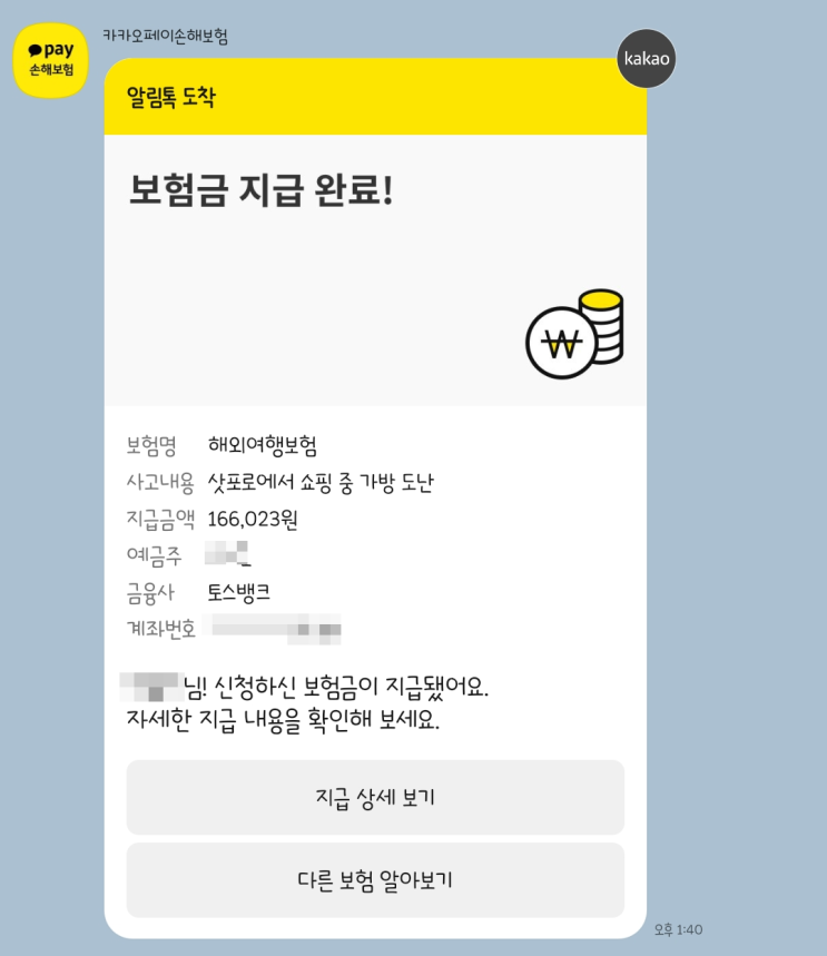  여권 분실&소지품 도난 카카오페이 여행자보험 보상 청구 신청 환급 후기