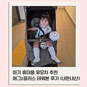 휴대용 유모차 추천 에그z플러스 태워본 후기