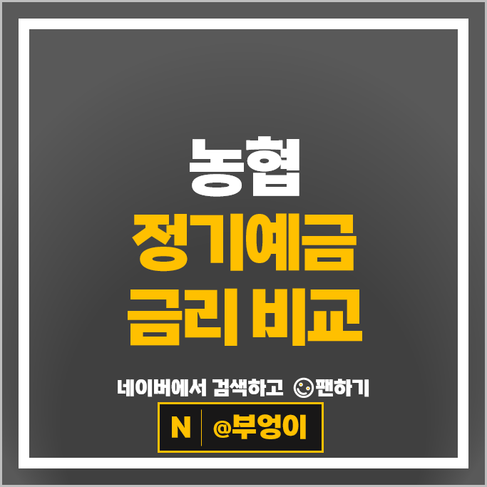 농협 정기예금 금리 비교 단기 6개월 예금 이자 특판 추천