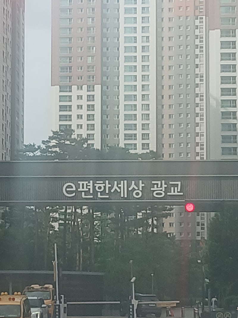 비둘기 퇴치 업체 아파트