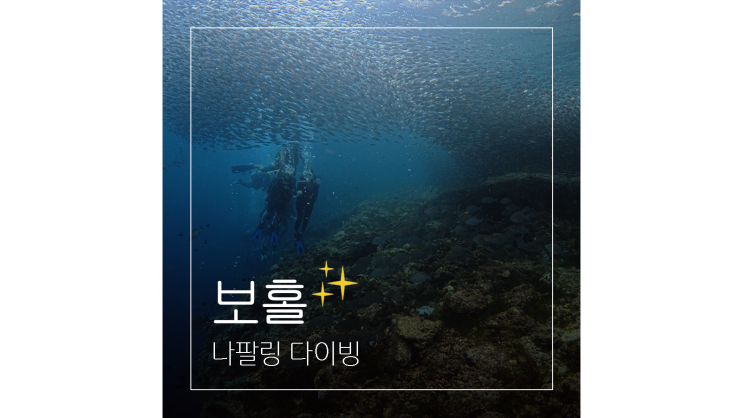  필리핀 보홀 여행 가면 꼭 해봐야 할 나팔링 다이빙 초보자도 가능
