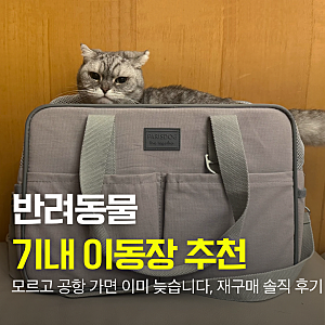 강아지 고양이 “기내용 이동가방”추천! 패리스독 소프트 켄넬 실사용 후기(feat.티웨이항공....