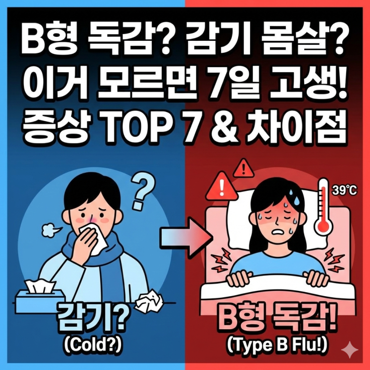  B형 독감 증상 총정리｜감기로 착각하면 위험한 결정적 차이 5가지