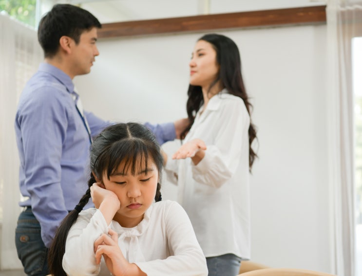 조울증 <b>조현병</b> 증상 환자 부모 특징 환경적 문제
