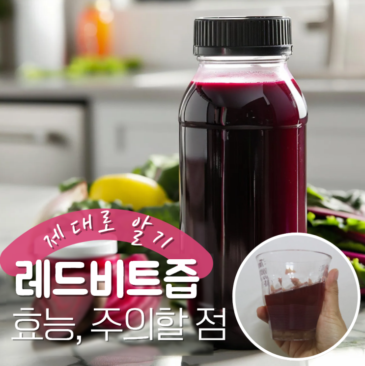 레드비트즙 효능 효과 부작용 공복 혈압