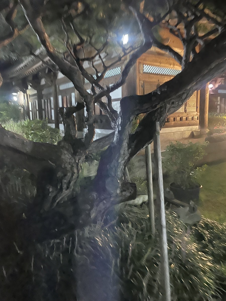 완산다원 사진 1