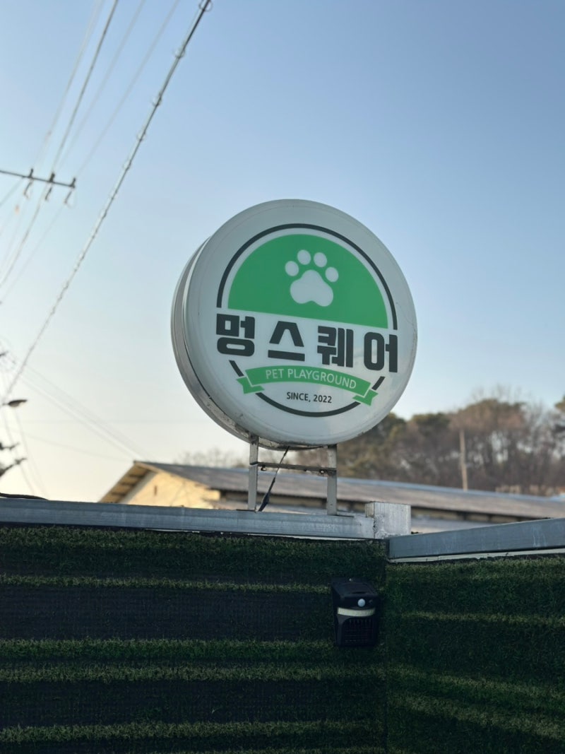 사진 6
