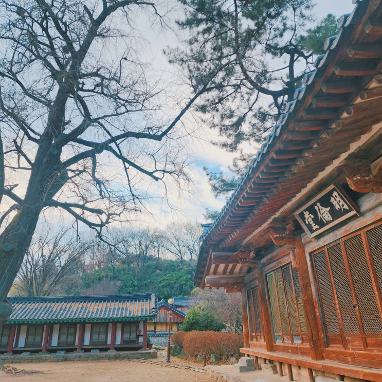  전주향교 전북 여행 전주 한옥마을 근처 가볼만한 곳