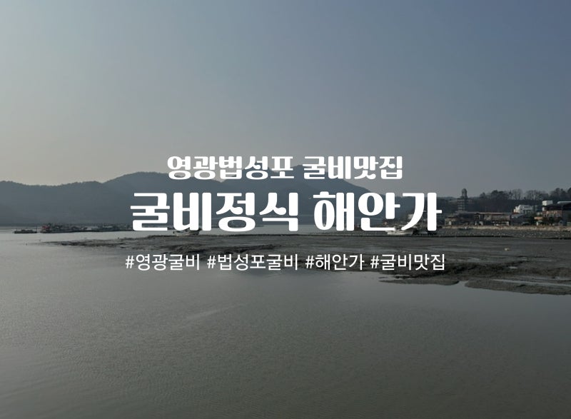 사진 8