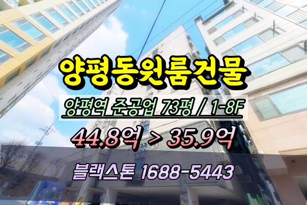  양평역 원룸건물 경매 8층 상가주택 40억 2024타경106270