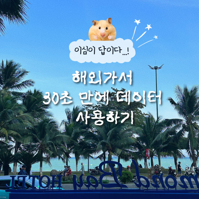 유심사 이심 활성화, 설치방법, 사용법ㅣ베트남에서 사용했어요(feat.아이폰)