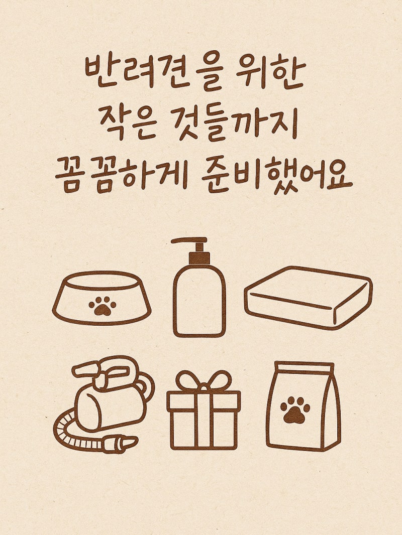 사진 2