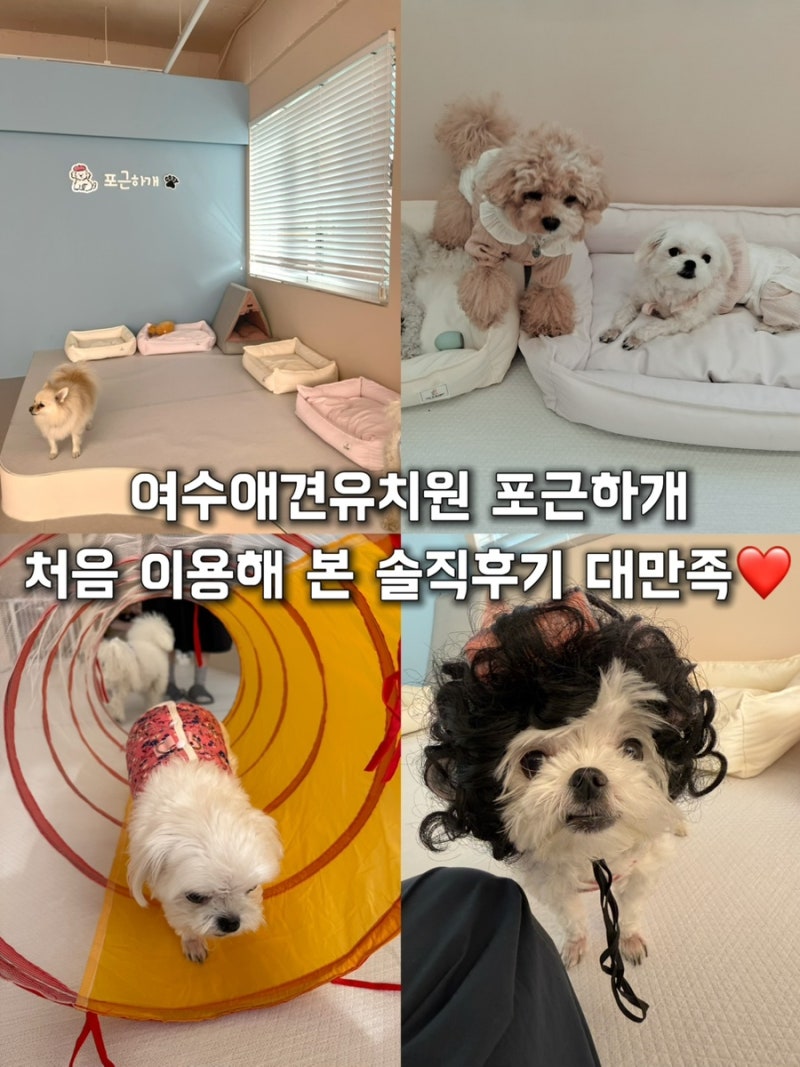 사진 6