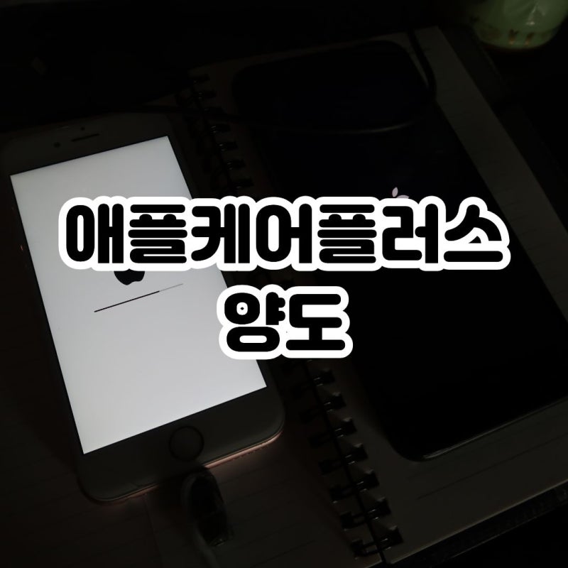 애플케어플러스 양도 횟수 절차 방법 총정리