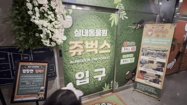  아이와함께 갈만한곳 찾는다면 인천 서창 인천실내동물원 쥬벅스 앤 쥬니멀 솔직 후기