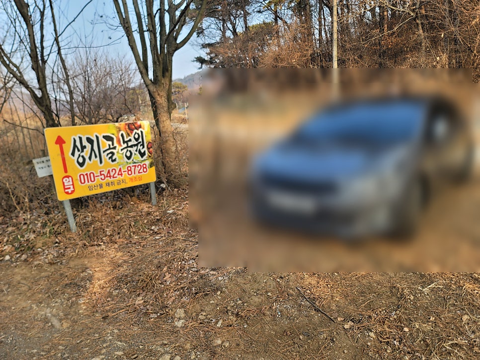 범안골 사진 5