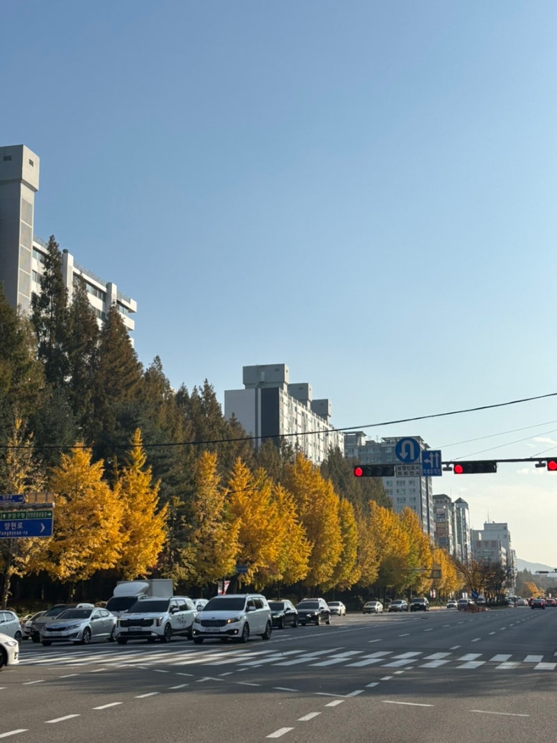 26년 설 명절 KTX 구매 후기, 명절 SRT 예매일정