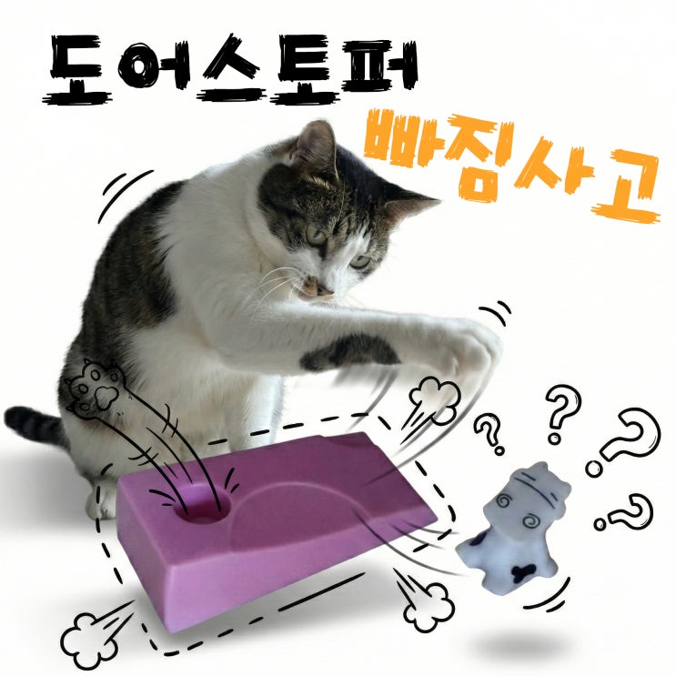  다이소 도어스토퍼 샀다가 고양이 잡을 뻔한 집사