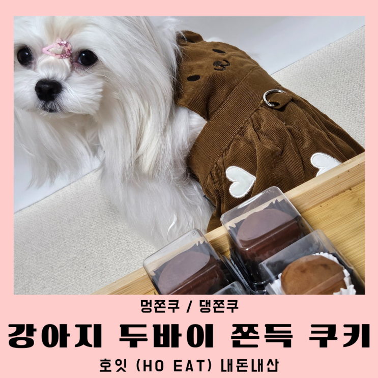  강아지 두바이쫀득쿠키 멍쫀쿠 두쫀쿠 내돈내산 후기