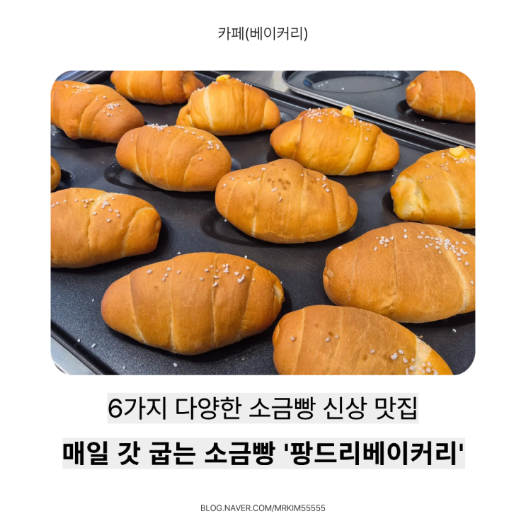  서울 소금빵 맛집 발견! 노원 하계동 ‘팡드리베이커리’ 솔직 후기