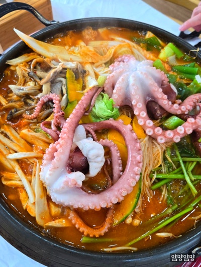 사진 3