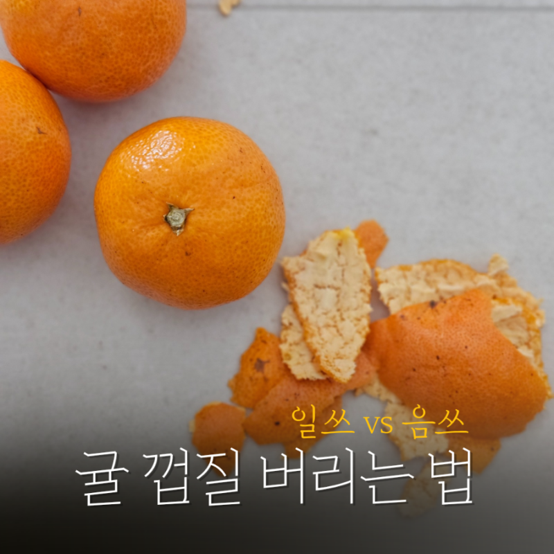 귤 껍질 버리는 법 일반쓰레기 음식물쓰레기