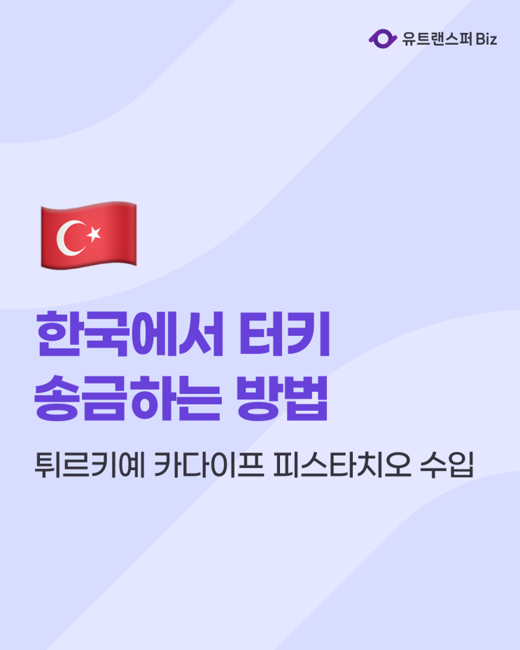 한국에서 터키 해외송금 방법, 튀르키예 카다이프 피스타치오 수입