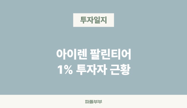  아이렌 IREN 팔란티어 PLTR 1억 이상 투자자 비율?