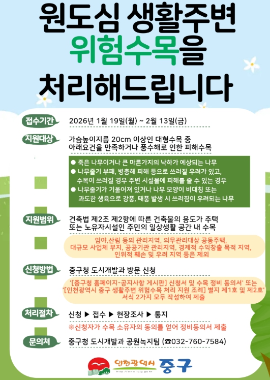 인천 중구, 원도심 ‘위험 수목’ 처리로 더 안전한 생활 환경 만든다