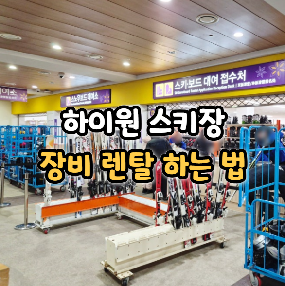  하이원 스키장 렌탈 하는 법 마운틴 스키 하우스