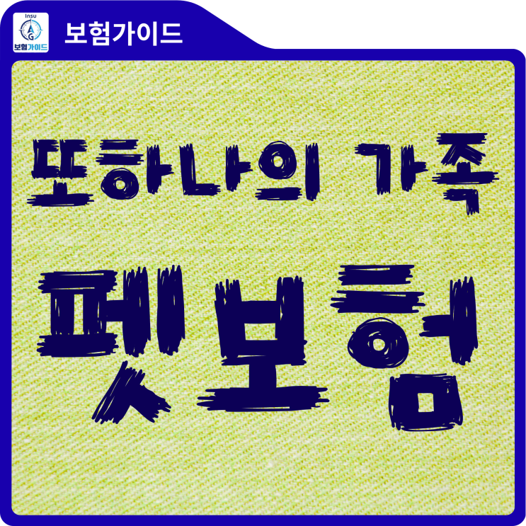  제주/서귀포 반려인 필독! 반려견,반려묘 펫보험.