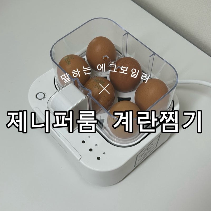 제니퍼룸 계란찜기 말하는 에그보일러 6구 리뷰