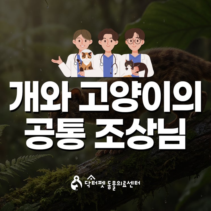  개와 고양이 공통 조상에서 어떻게 갈라졌을까?