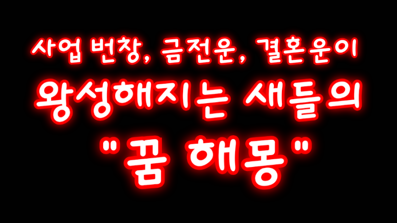 제비, 참새, 비둘기 "꿈해몽"